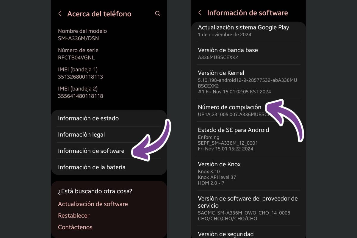 Así se activan las opciones de desarrollador.