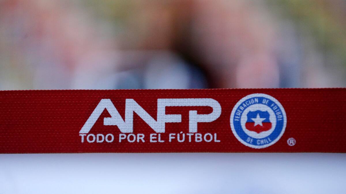 Cantaron en Viña un día...