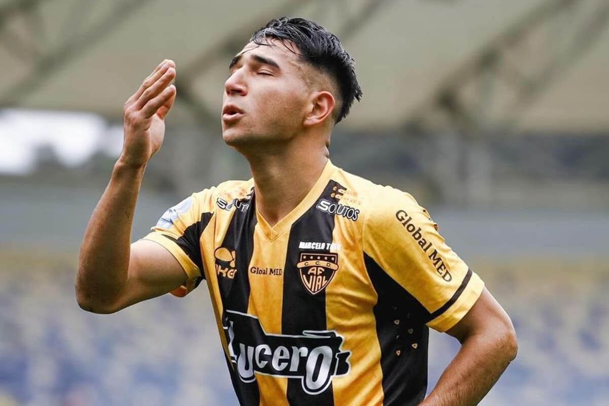 en Fernández Vial