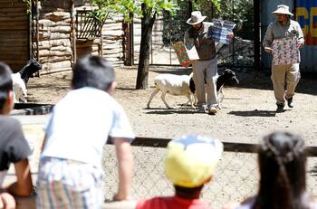Zoológico Metropolitano y Buin Zoo abrieron sus puertas bajo nuevos protocolos sanitarios