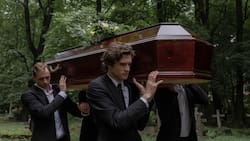 Animales que, al igual que los humanos, viven de luto cuando alguien cercano muere