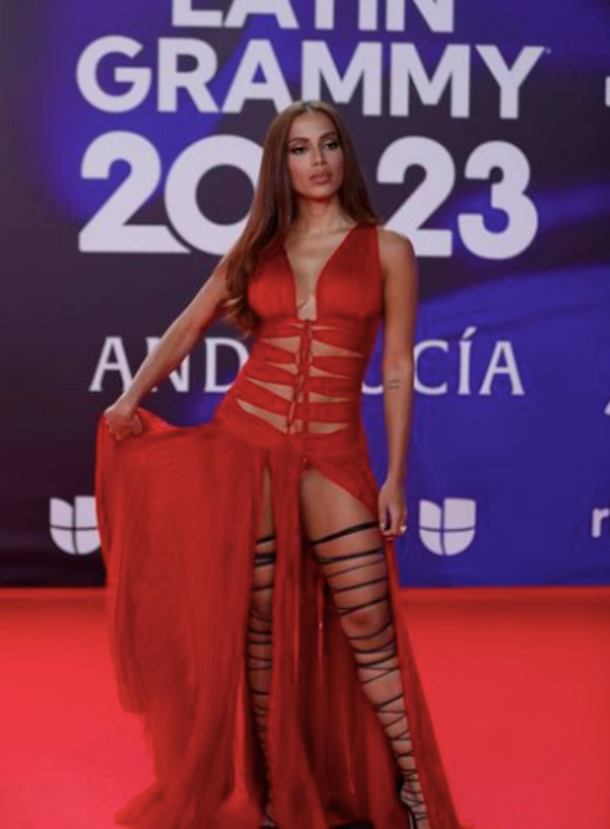 se presentará en el Festival de Viña 2024.