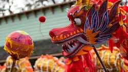 Año Nuevo Chino en Viña del 2025: ¿Cuándo es y dónde se festejará este evento gratuito?