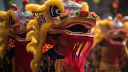 Instituto Confucio ofrecerá un impresionante evento gratuito para recibir el Año Nuevo Chino 2024