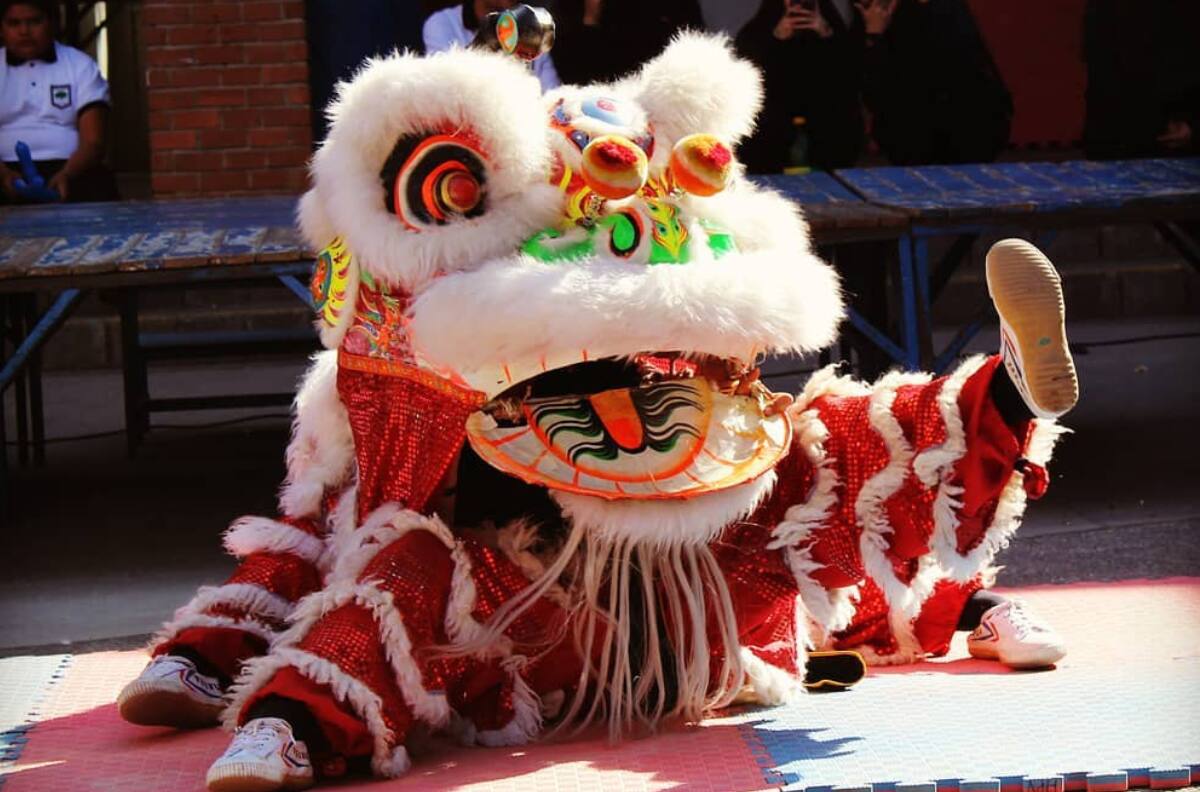 Continúan las celebraciones del Año Nuevo Chino en Puente Alto este fin de semana: Revisa actividades y horarios