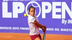 Ranking WTA: Antonia Vergara sube más de 60 puestos tras su gran semana en Argentina