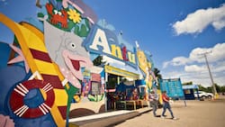 Paraíso acuático imperdible en Ñuble: Parque Antu, el mejor destino veraniego en Quillón