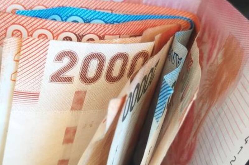 Revisa los detalles de los pagos.