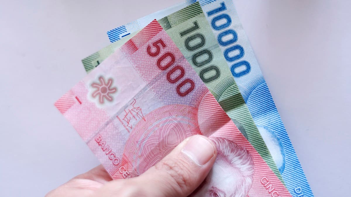 IPS paga $64.000 a personas que cumplan con este requisito: revisa con tu RUT si tienes pendiente el cobro