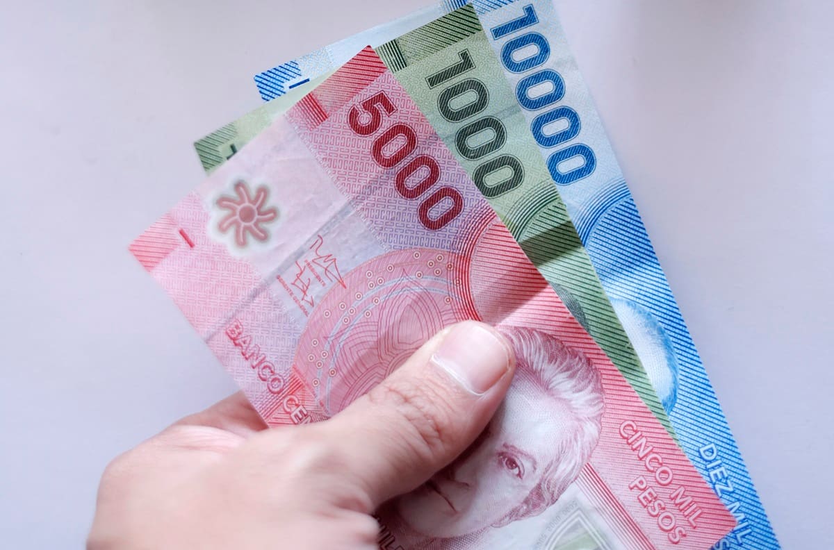 IPS paga $64.000 a personas que cumplan con este requisito: revisa con tu RUT si tienes pendiente el cobro