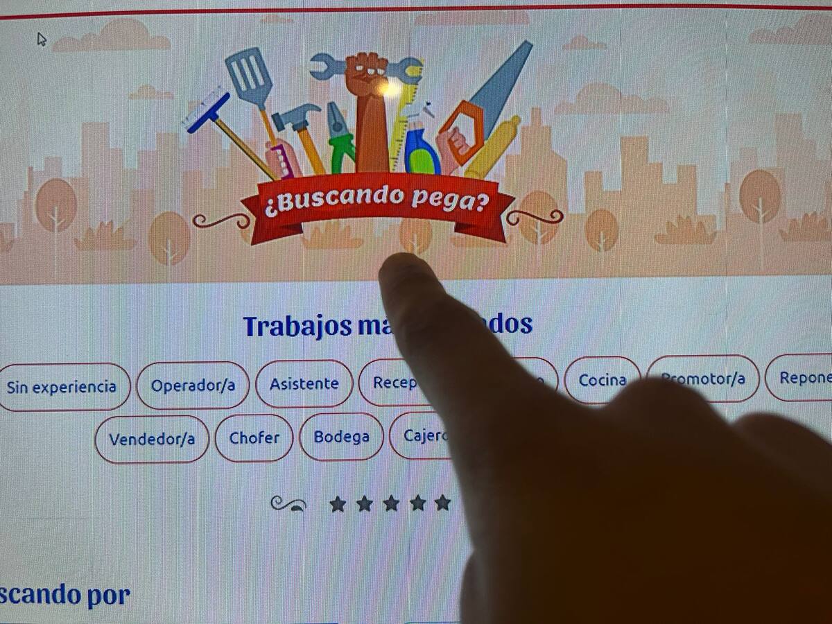 Así luce la nueva bolsa de trabajo online.