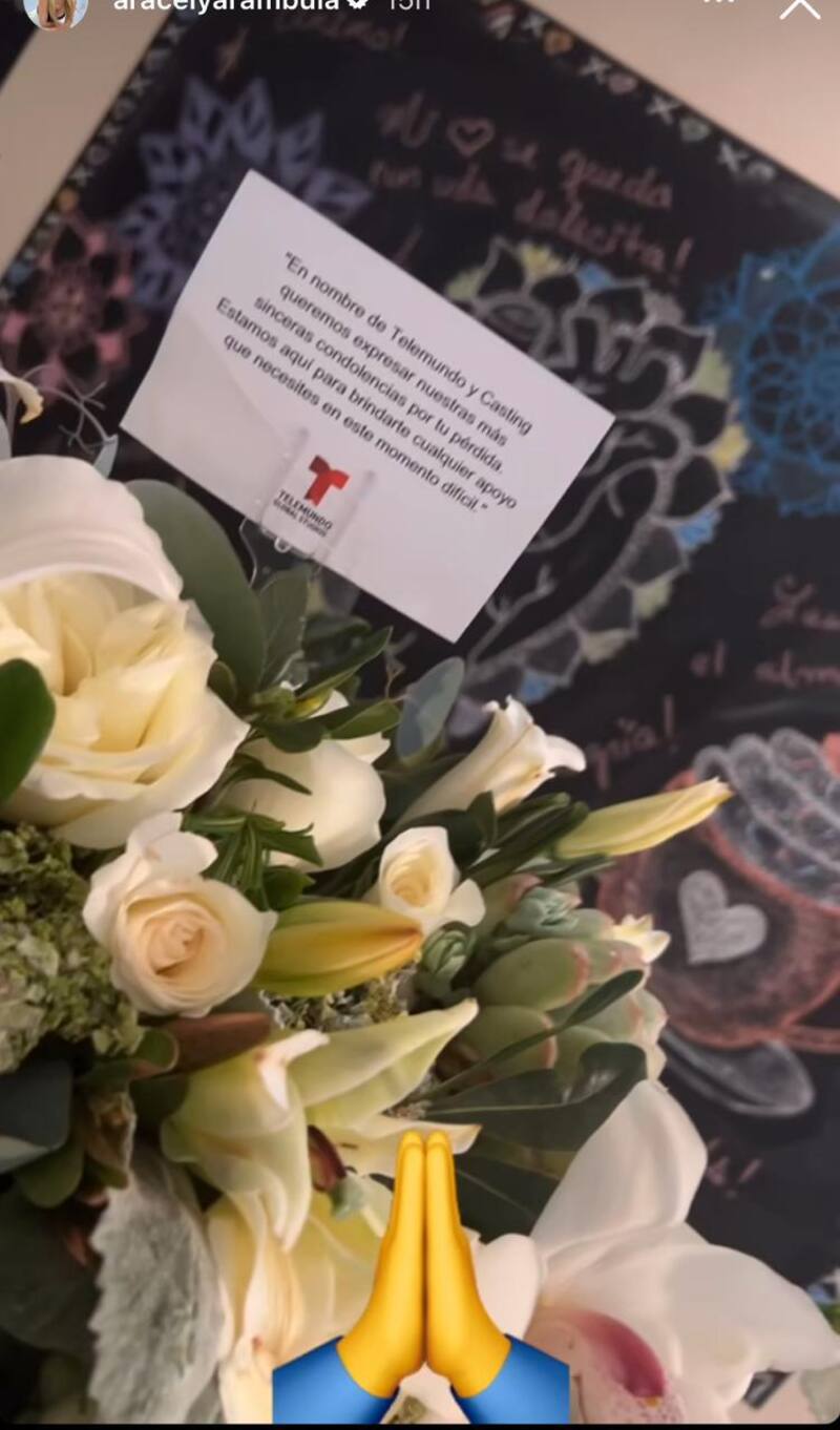 Aracely Arámbula reaparece en sus redes sociales.
