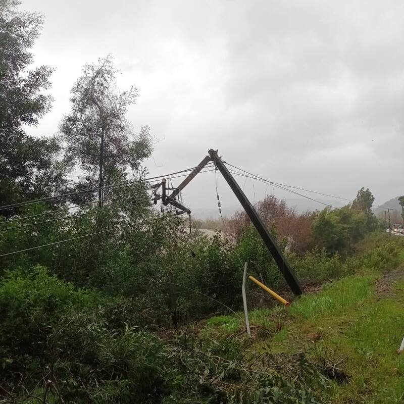 Árboles caídos en Biobío por el sistema frontal. Créditos: @CGE_Clientes