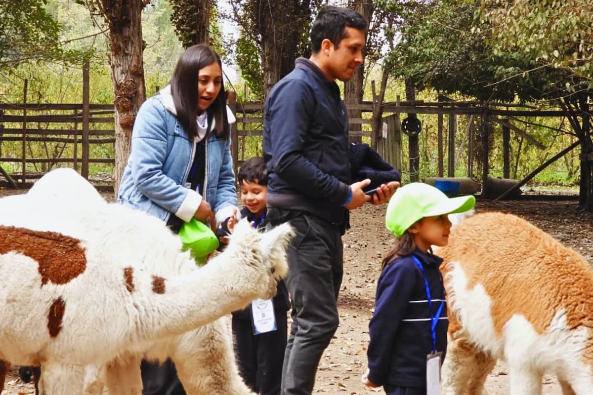Un panorama que tiene de todo para pasarlo bien: animales, aire libre, juegos y más. Foto: Arca del Pequén.
