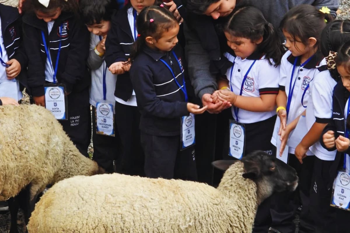 Espacio increíble cerca de Santiago para ir en familia. Foto: Arca del Pequén.