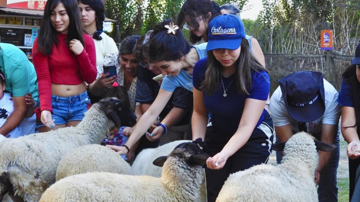 La granja educativa cerca de Santiago que es imperdible para estas vacaciones de invierno