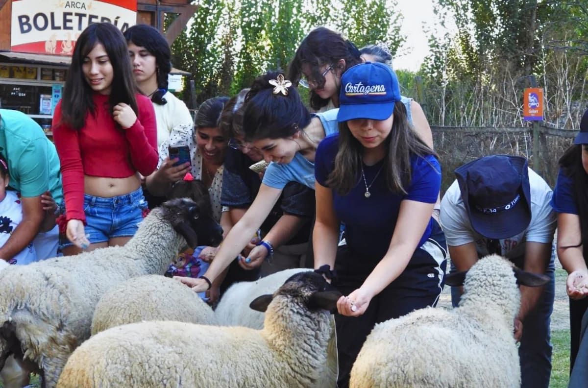 La granja educativa cerca de Santiago que es imperdible para estas vacaciones de invierno