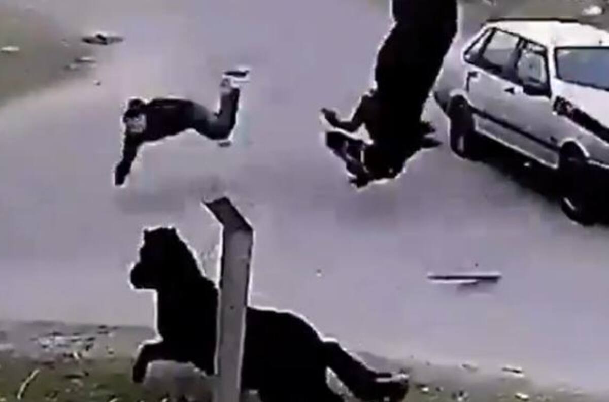 VIDEO | Joven de 16 años robó un caballo y terminó volando por los aires tras ser chocado por un auto