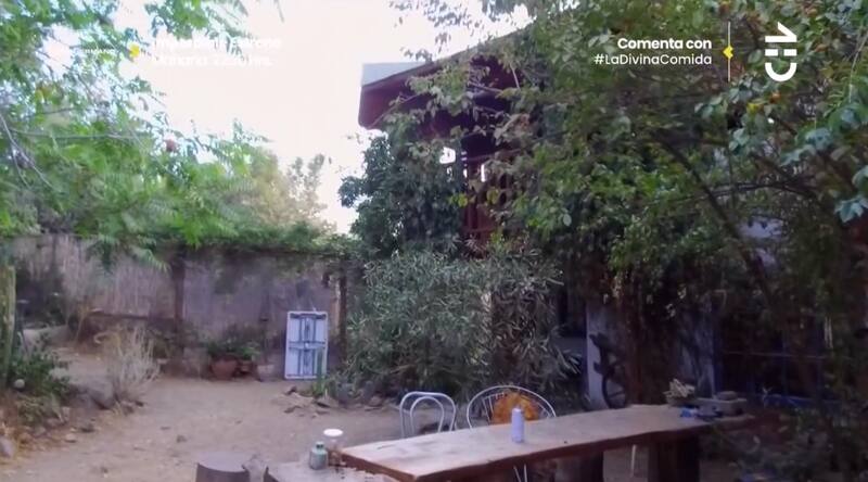 El patio de la casa de Arturo Ruiz-Tagle. Créditos: CHV.