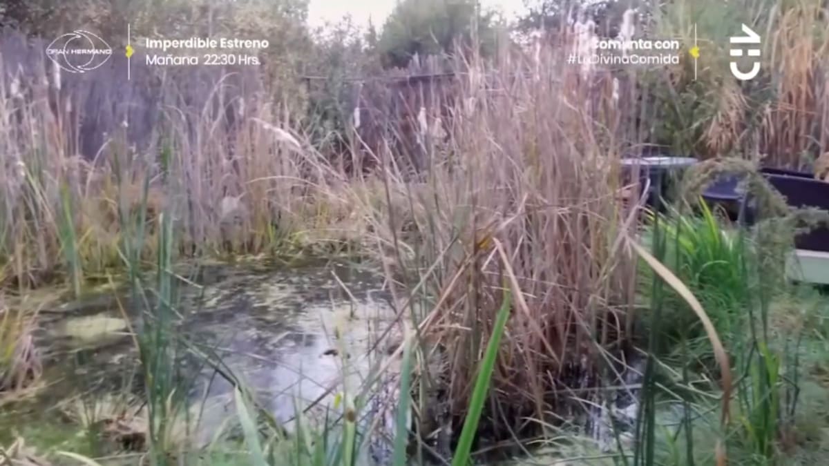 Otra de sus lagunas. Créditos: CHV.