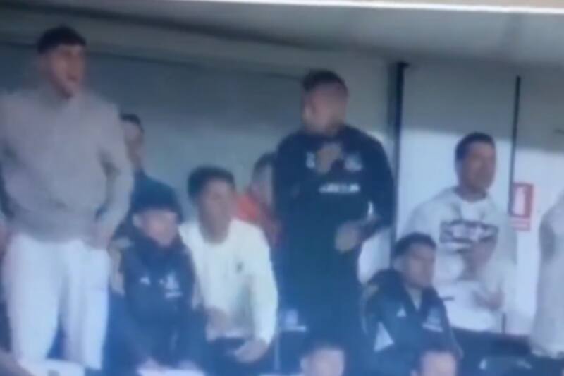 alentando a Colo Colo en el sector Rapa Nui del Estadio Monumental.
