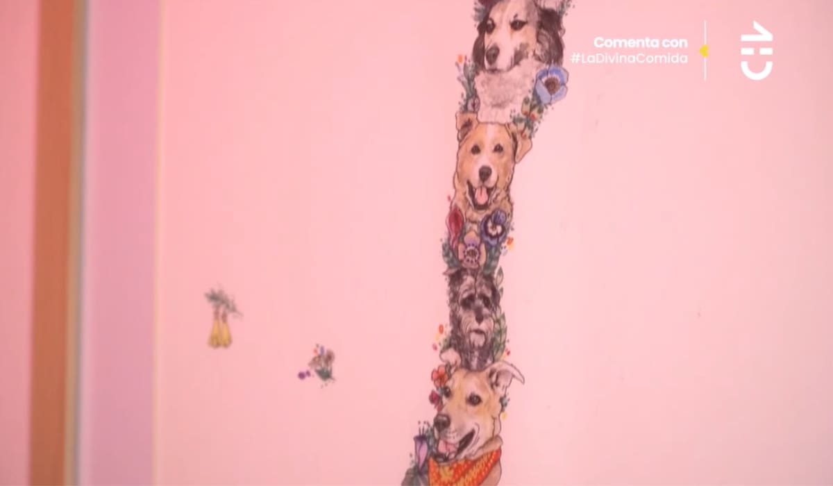 Cuadro con el territorio nacional de perros adoptados.