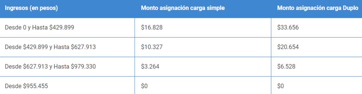 Estos son sus montos. Créditos: Red de Protección Social.