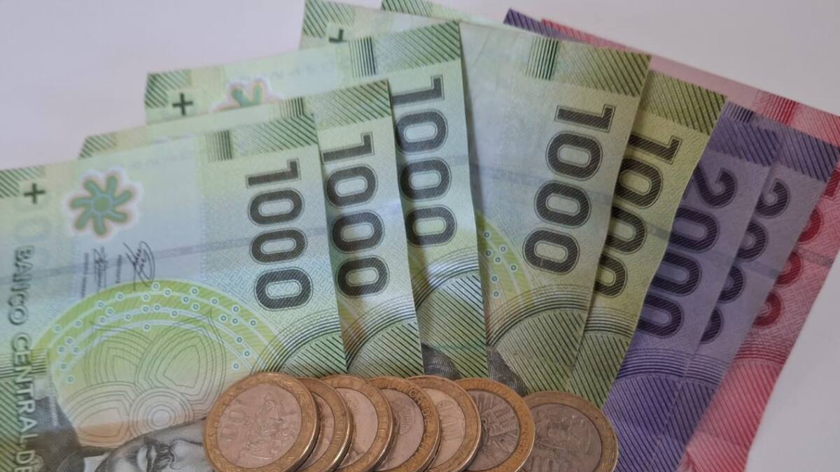 Gobierno de Chile pagará $21.000 a familias que reúnan estas condiciones