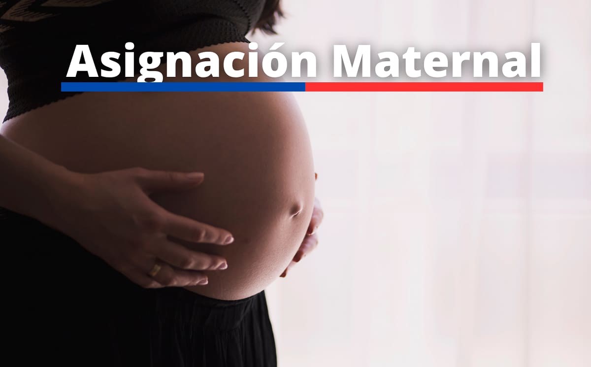 Revisa que papeles necesitas.