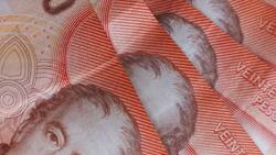 Trabajadoras embarazadas pueden recibir hasta $20.000 del IPS si cumplen estos requisitos