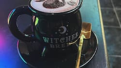 La primera cafetería astrológica de Chile está en Providencia: Vive una experiencia inspirada en los signos del zodíaco