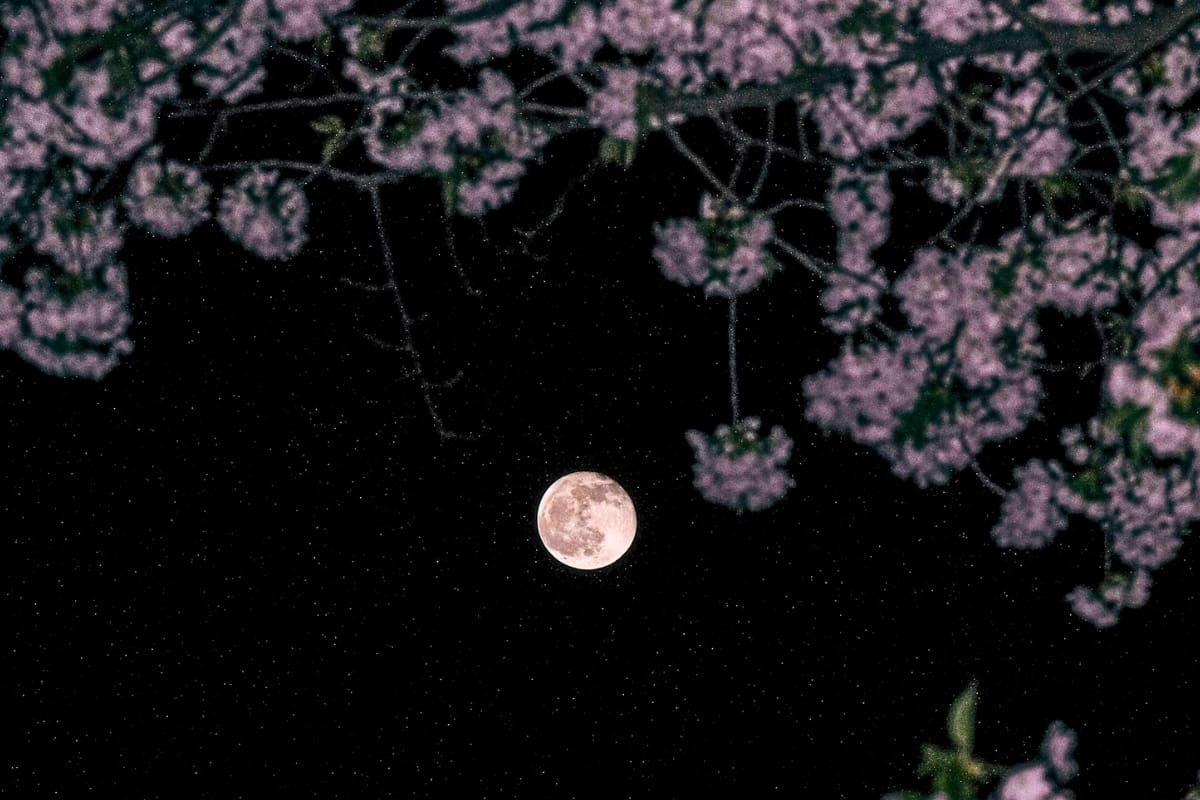 La Luna de las Flores se caracteriza por ser una miniluna.