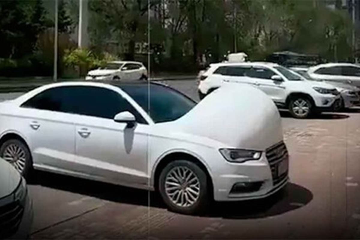 Así lucen los vehículos. Captura video.