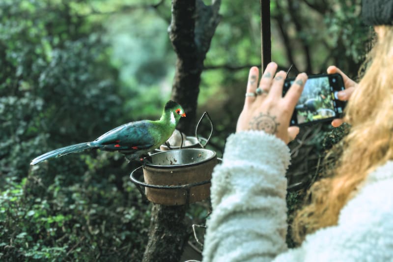 Un espacio con aves únicas que hacen del paisaje una vista fascinante. Créditos: tricao.cl.