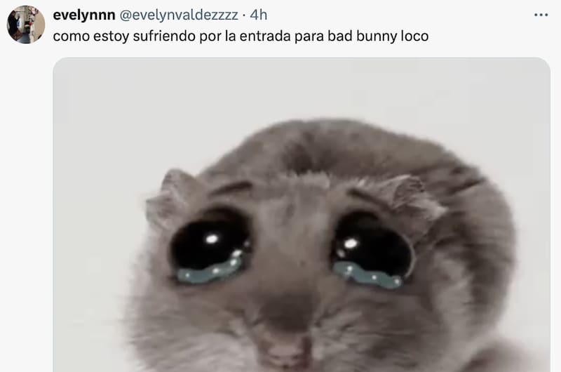 Los mejores memes de la venta de entradas.