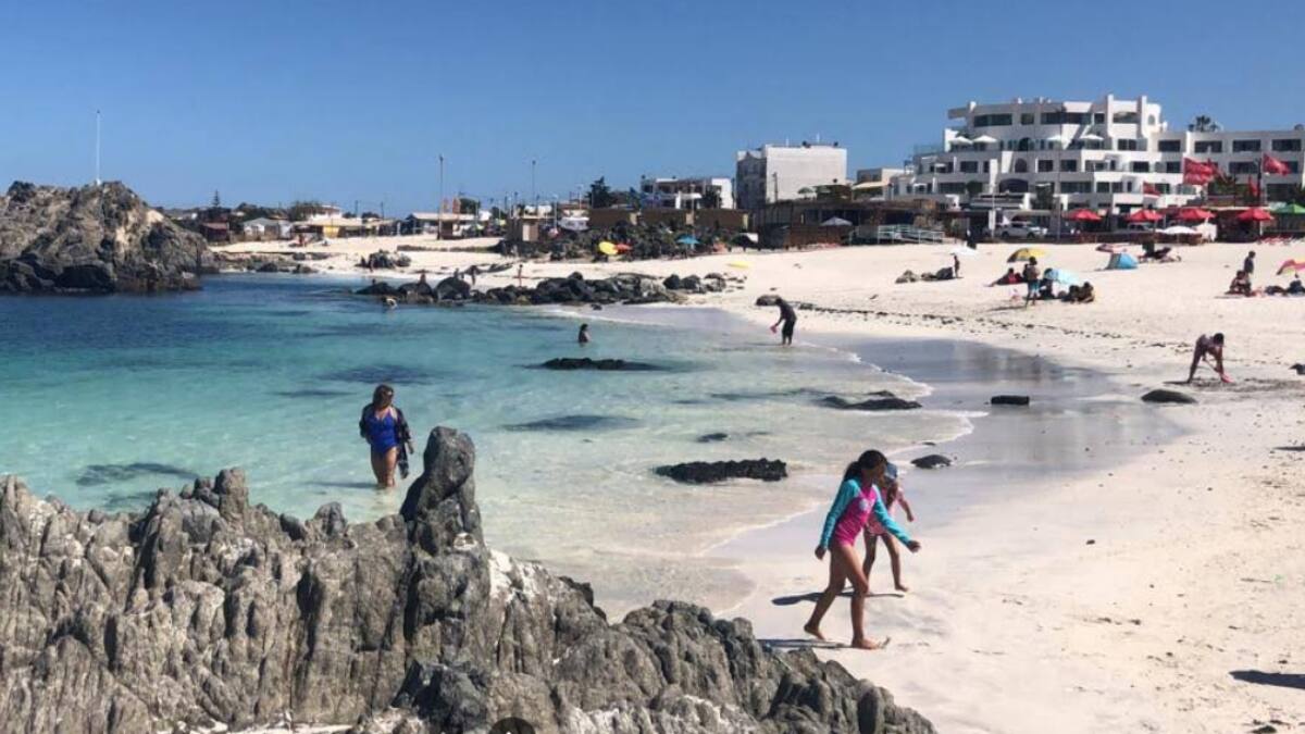 Mal olor y aguas de exraño color: explican el fenómeno que tiene alterados a los turistas en Bahía Inglesa