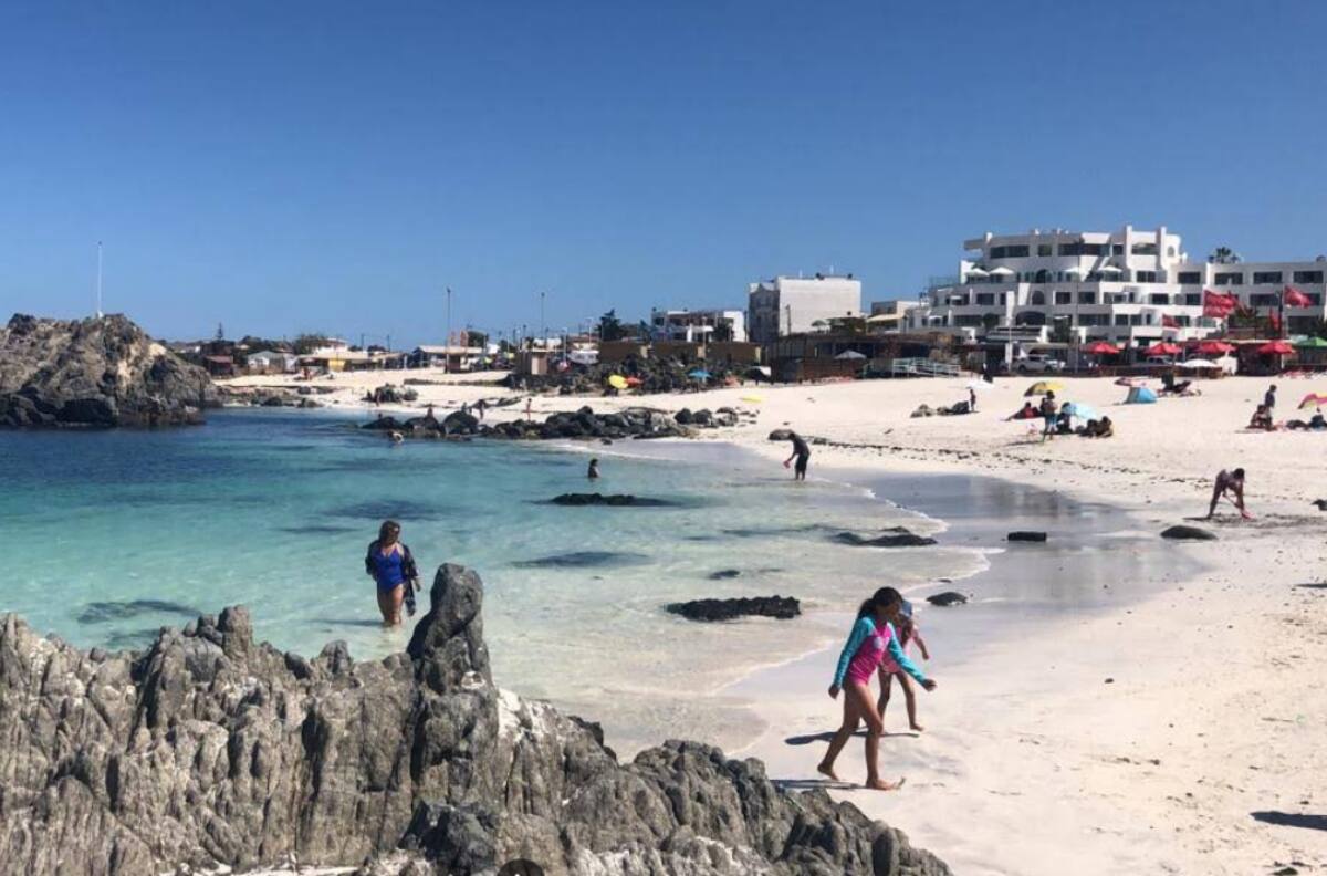 Mal olor y aguas de exraño color: explican el fenómeno que tiene alterados a los turistas en Bahía Inglesa