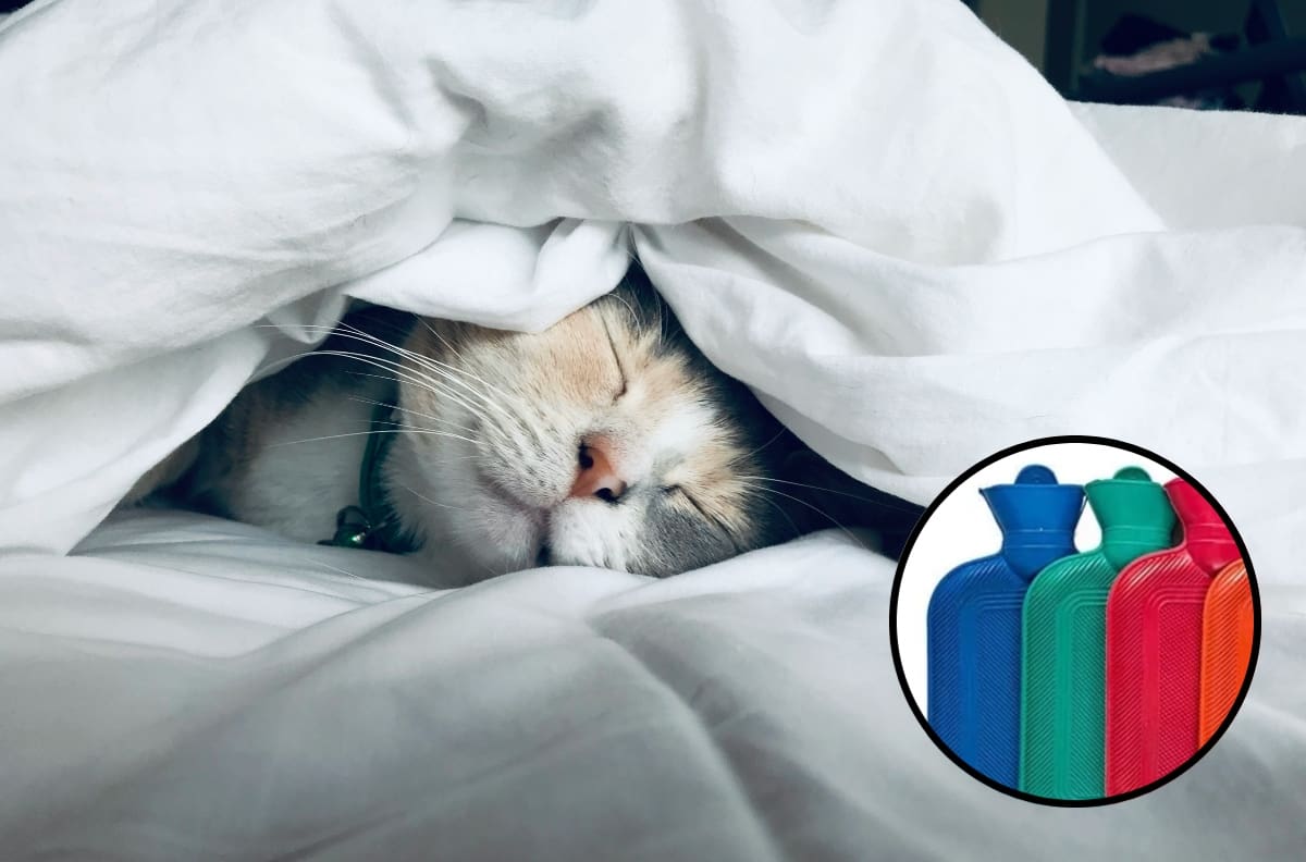 Estos son los objetos que NO debes usar para calentar tu cama durante el invierno