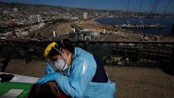 Informe Covid-19: ¿Cuántos casos nuevos registró el Minsal este domingo 23 de abril?