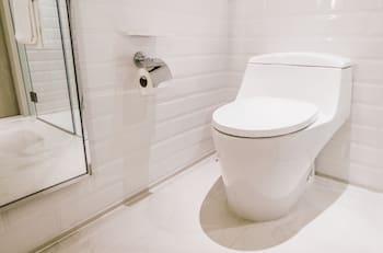 Cómo mantener tu baño limpio y con buen olor con un simple truco casero