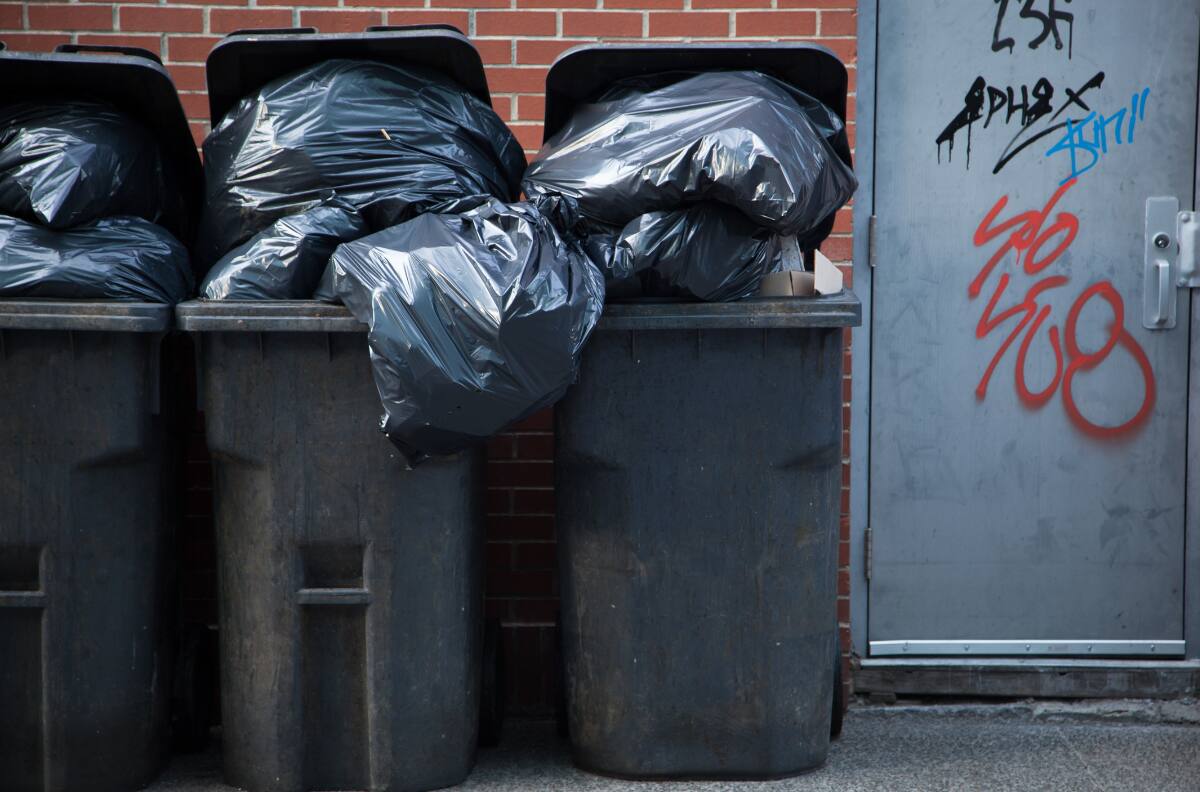 Destaca un país Latinoamericano: Estos son los 8 países que más desperdician comida en el mundo, según ranking de la ONU