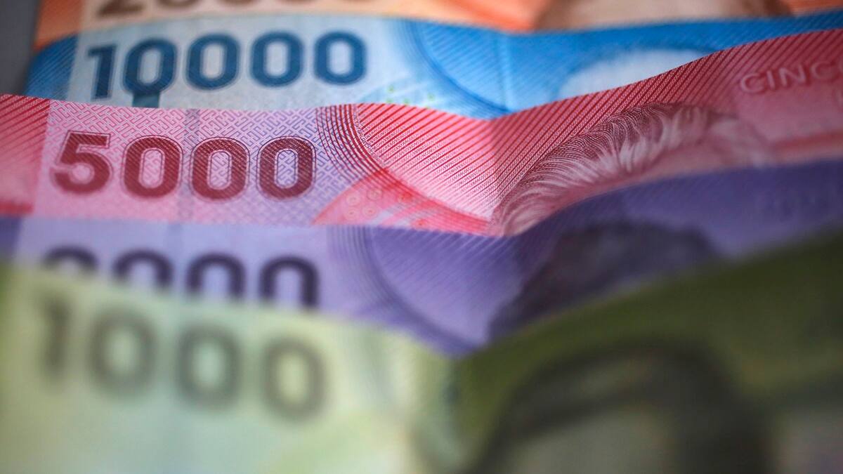 Confirmado: Este es el nuevo beneficio del Estado que pagará hasta $100.000 desde enero de 2026