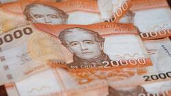 Consulta con tu RUT si tienes pendiente el pago de este beneficio del Estado: entregó $64.000