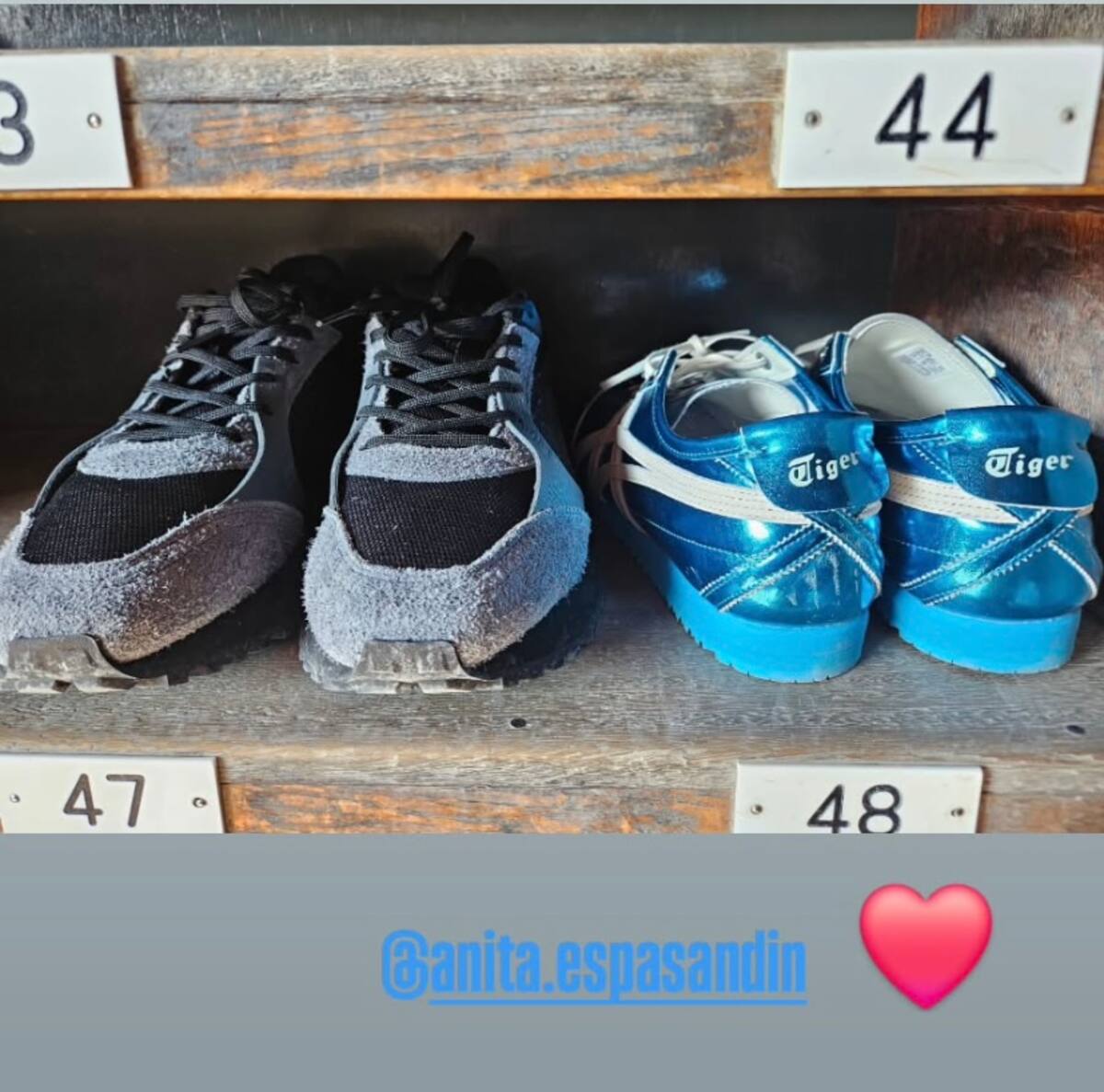 La pareja se dedicó románticas postales.