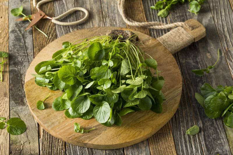 El berro fue señalado como el alimento más saludable del mundo según un estudio de la Universidad William Paterson de Nueva Jersey.