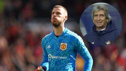 El Rey Midas lo hace otra vez: David de Gea se interesó en el Betis por Manuel Pellegrini