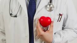 Lo dice Harvard: Este fruto seco ayudará a la salud de tu corazón