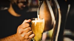 Bierfest Frutillar 2026: Fecha, precios de las entradas y artistas invitados a la fiesta de la cerveza