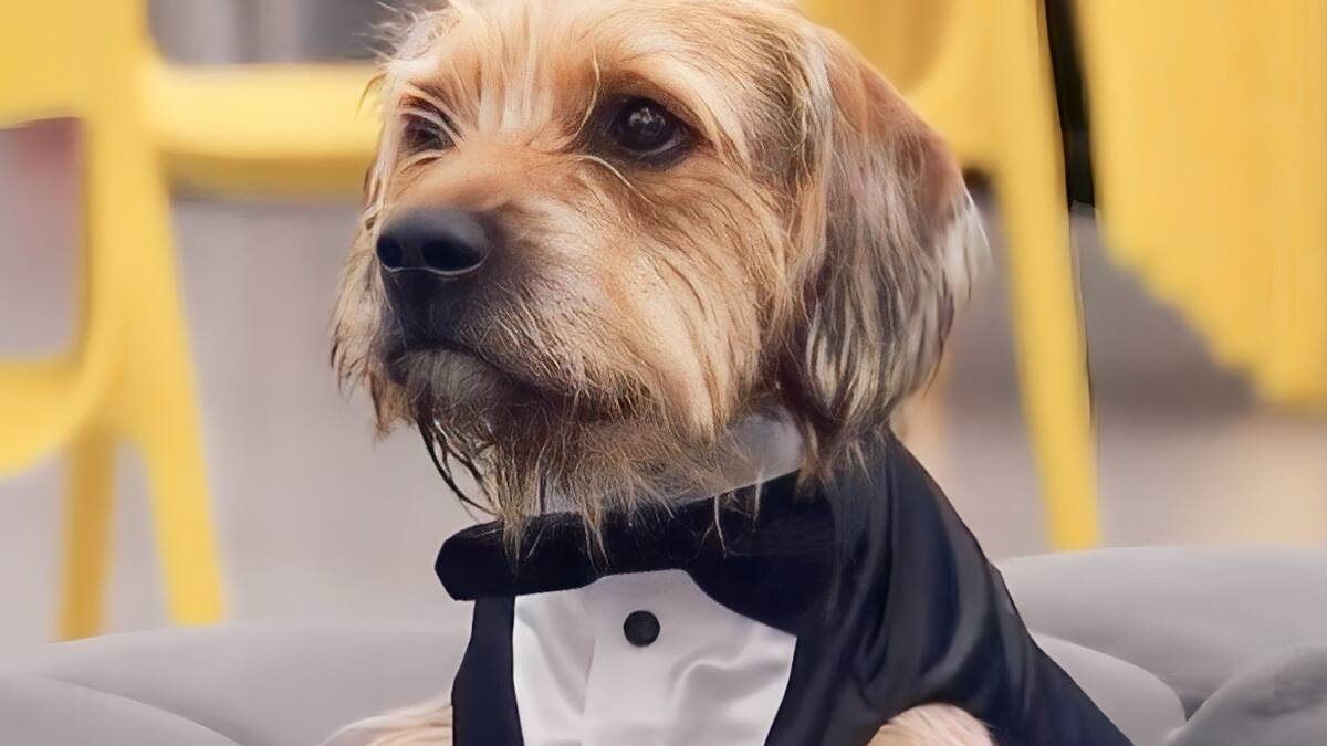 Esta es la primera foto de Bigote en Chile previo a la final de “Gran Hermano”