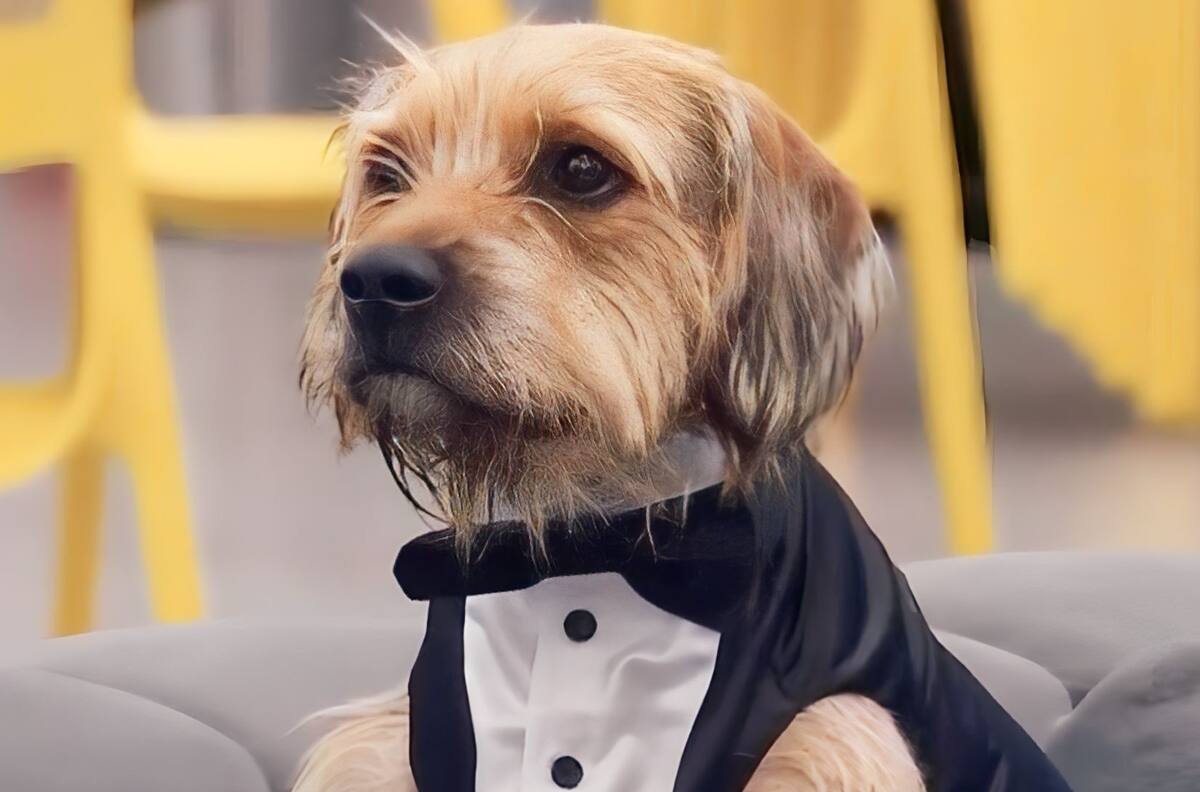 Esta es la primera foto de Bigote en Chile previo a la final de “Gran Hermano”